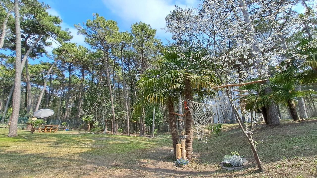 Villa Barbara Fra I Pini Lignano Sabbiadoro Ngoại thất bức ảnh